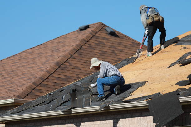 Best Metal Roofing Installation  in Masonville, KY