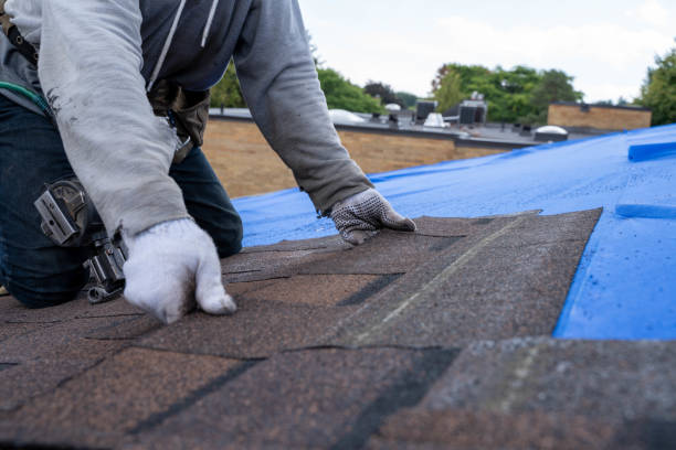 Best Rubber Roofing (EPDM, TPO)  in Masonville, KY